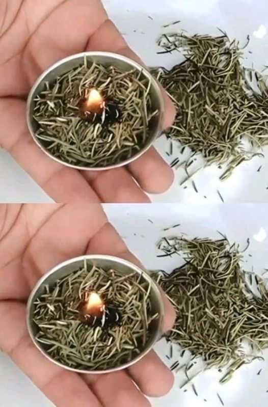 Try this at-home rosemary burner and see what occurs in a matter of minutes.