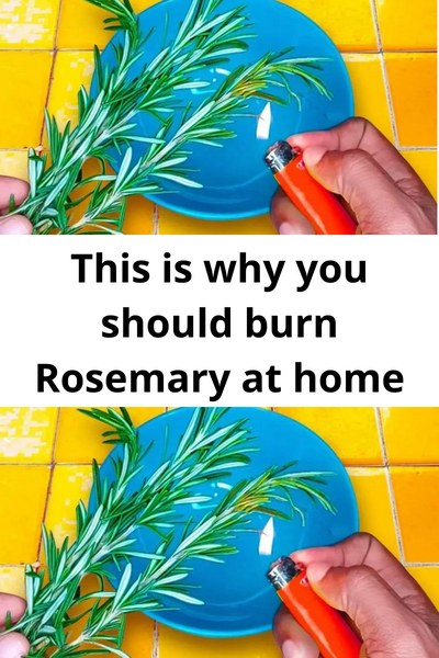 Due to this reason, you should burn rosemary in your own house.