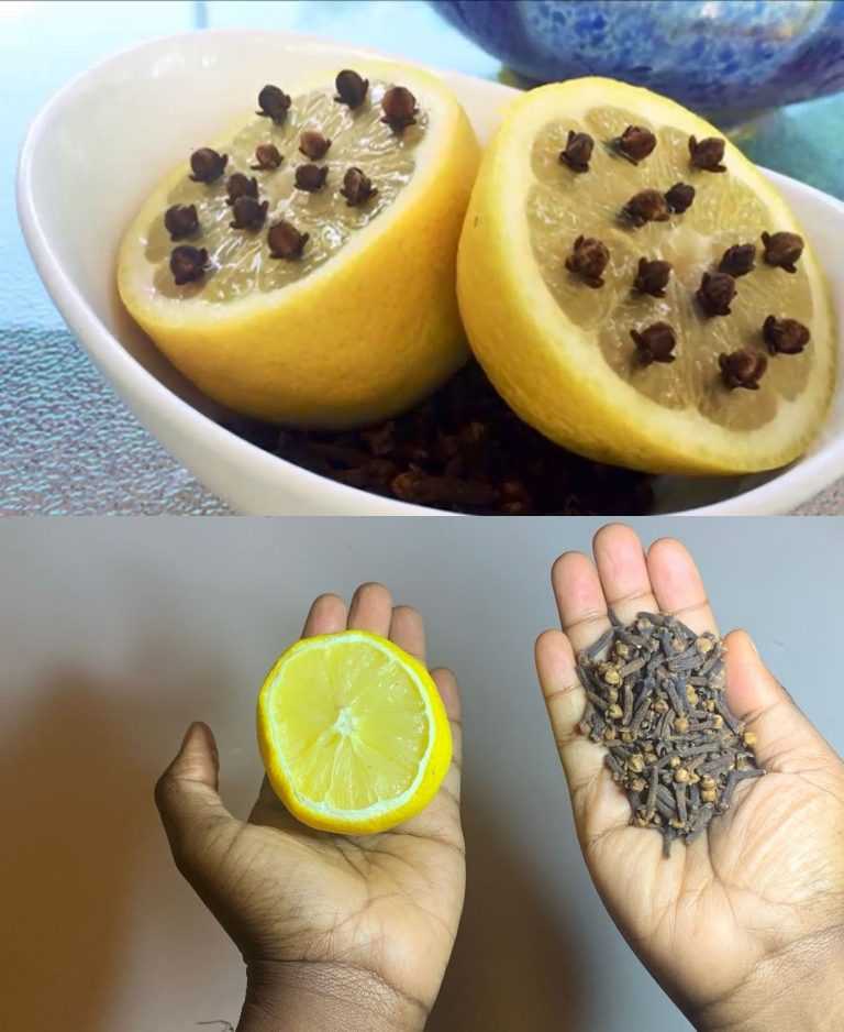 Here’s why cloves should absolutely be planted in an orange