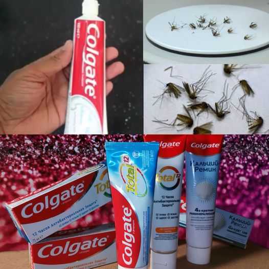 Just One Minute: How to Kill Mosquitoes at Home with a Magic Ingredient – Colgate!