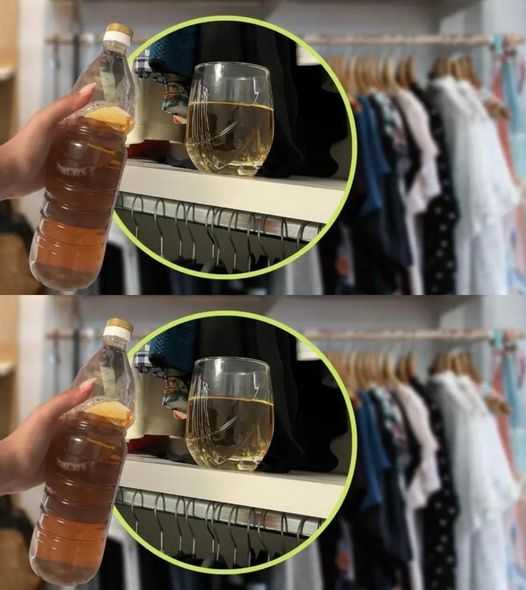 Vinegar, not in the kitchen but in the bedroom: just a small glass in the closet | Your clothes will thank you.