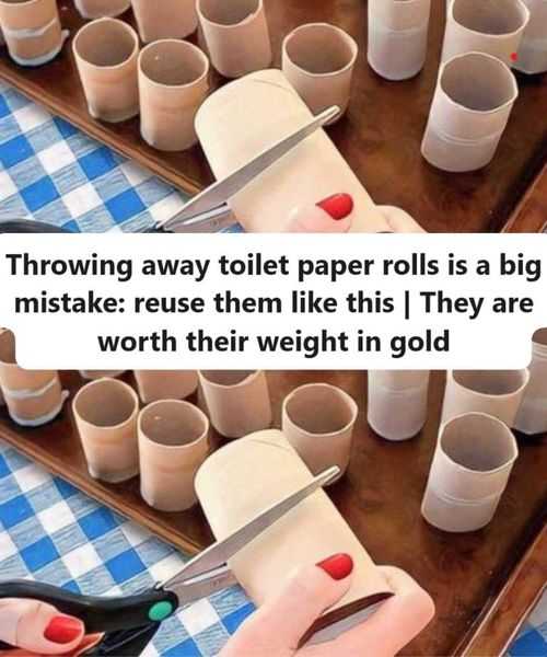 Throwing away toilet paper rolls is a big mistake: reuse them like this | They are worth their weight in gold