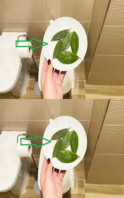 How to Perfume the Whole House With 3 Bay Leaves