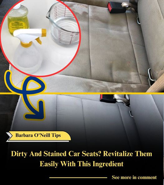 Dirty And Stained Car Seats? Revitalize Them Easily With This Ingredient