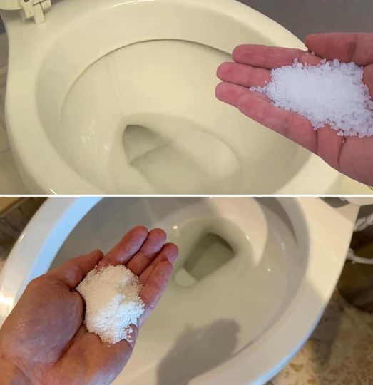 The Salt in the Toilet Trick Solves These Problems We All Have