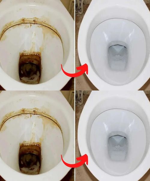 Stubborn toilet limescale disappears with this ingredient