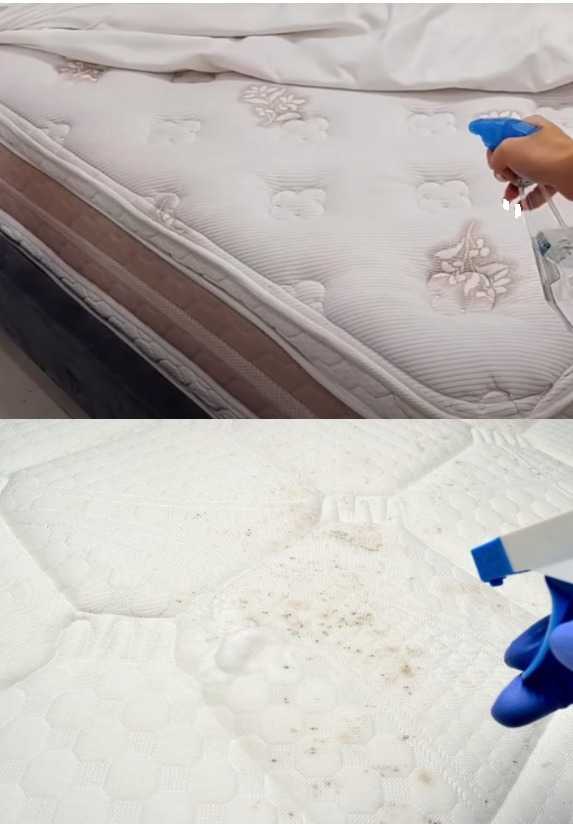 Spraying alcohol on the mattress: an easy way to keep it clean