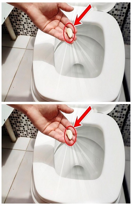 Put a clove of garlic in the toilet before going to bed, here’s what happens to your toilet in the morning