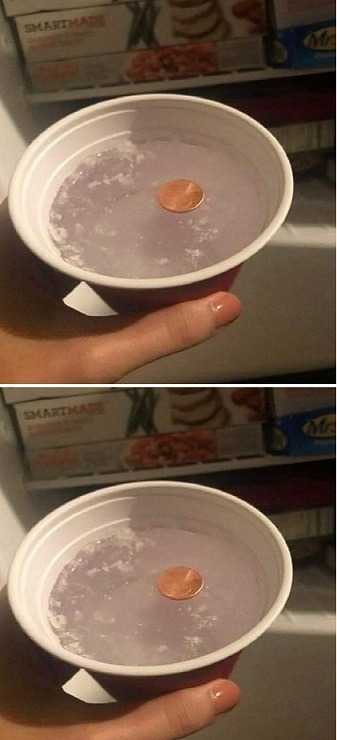 Why you should always put a coin in the freezer before you leave home