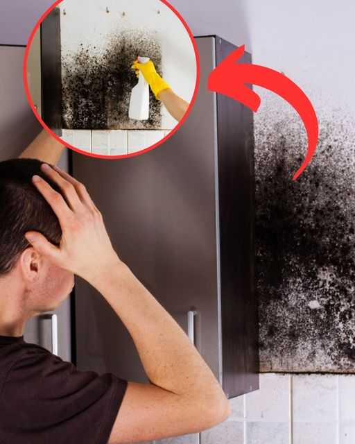 Say Goodbye to Mold: A Timeless Grandmother’s Trick for a Mold-Free Home