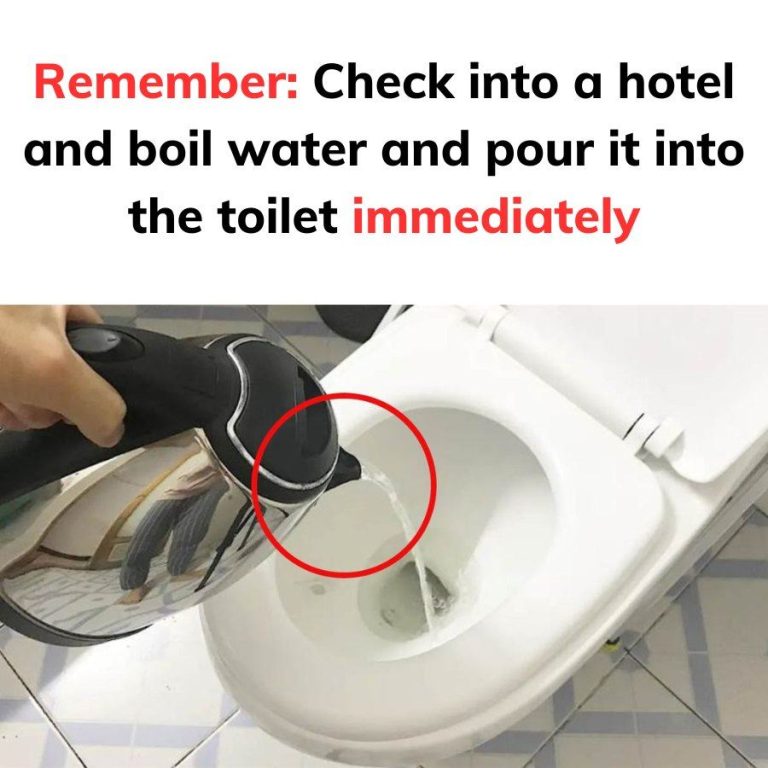 Check into a hotel and boil water and pour it into the toilet immediately