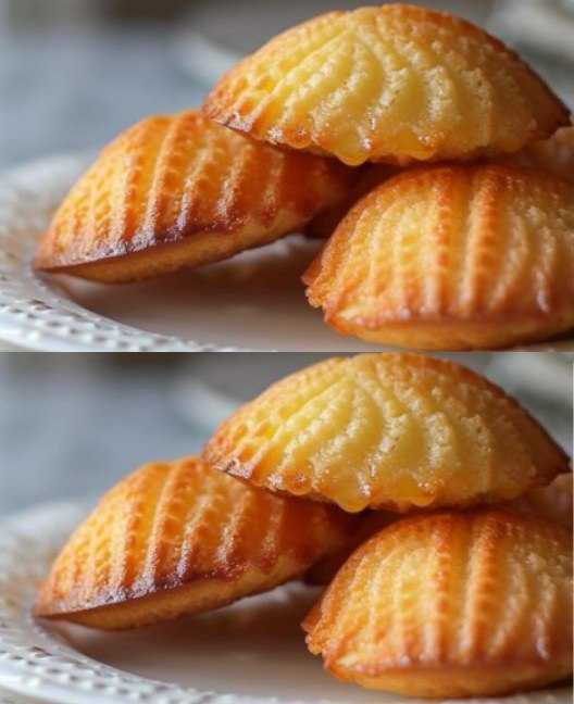 Madeleines: the soft and delicious French dessert to prepare at home