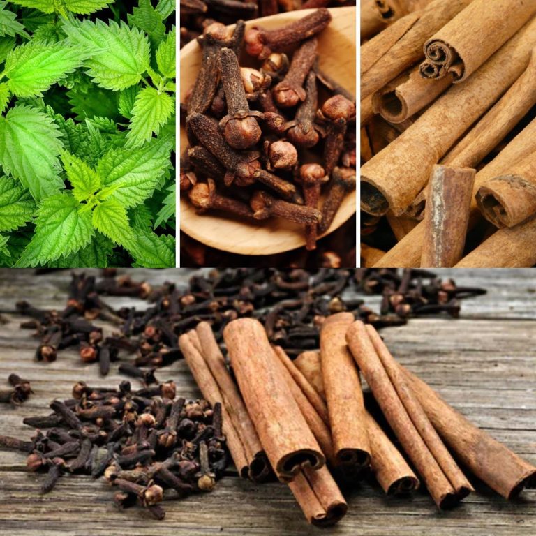 Nettle, Clove & Cinnamon Tea: Powerful Benefits You Should Know