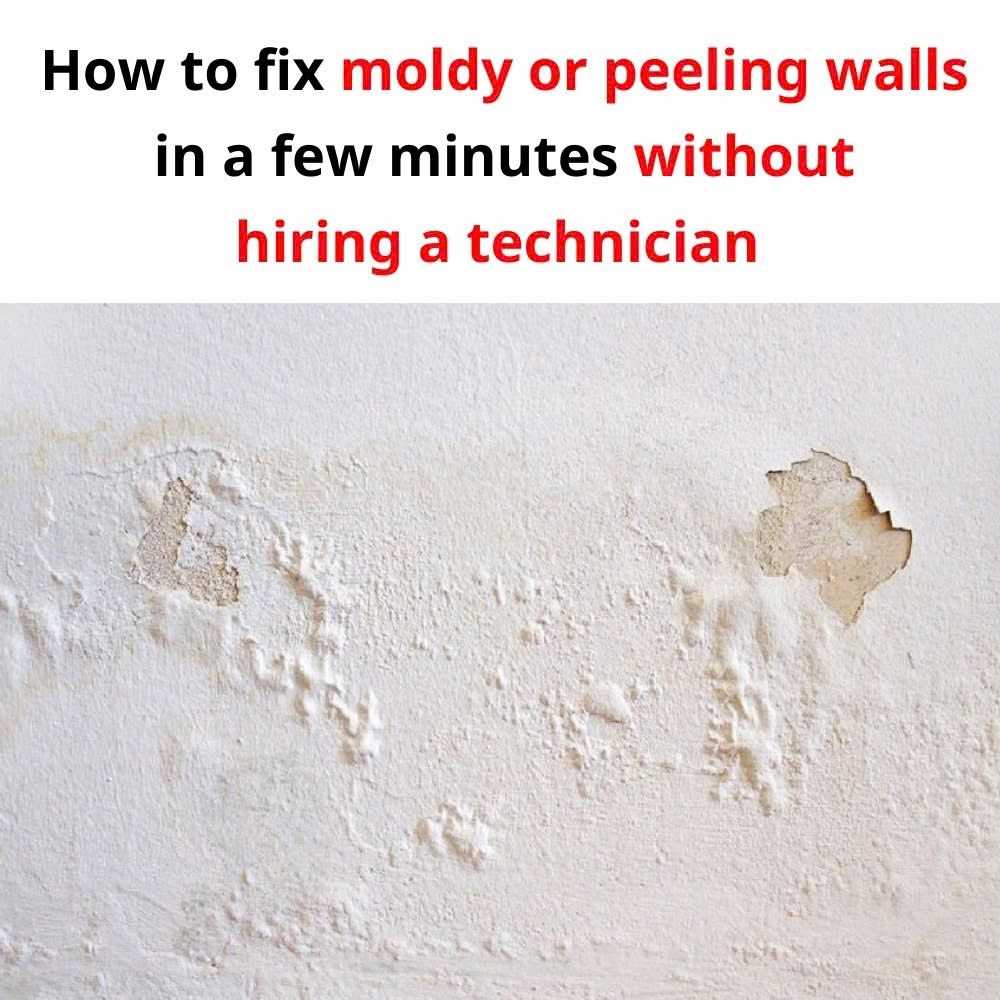 How to fix moldy or peeling walls in a few minutes without hiring a technician