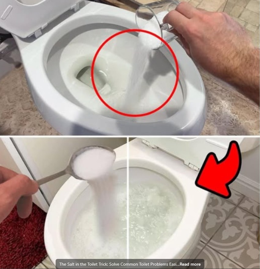 The Salt in the Toilet Trick: Solve Common Toilet Problems Easily