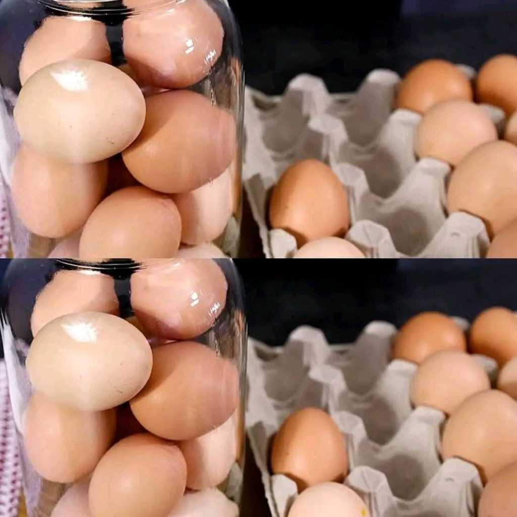 War Taught Me to Survive: Keeping Canned Eggs Fresh for Up to 2 Years