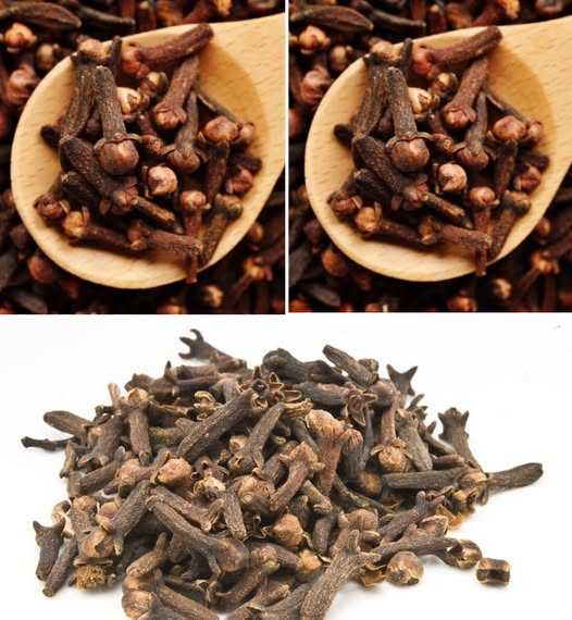 Powerful Blend with Cloves to Eliminate Bedbugs Naturally