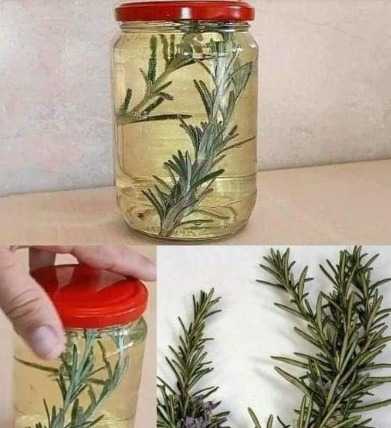 Mixing Rosemary with Cloves: A Secret Remedy You’ll Be Grateful For