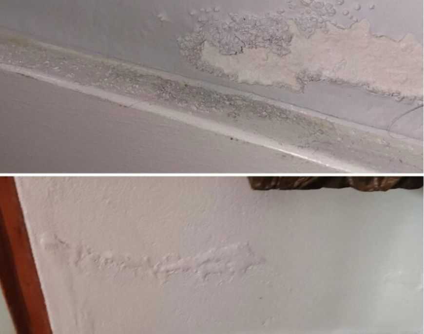 The Most Effective DIY Method to Eliminate Rising Damp from Walls and Restore Them to As Good as New