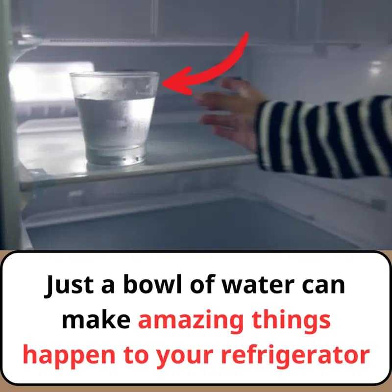 Just a bowl of water can make amazing things happen to your refrigerator