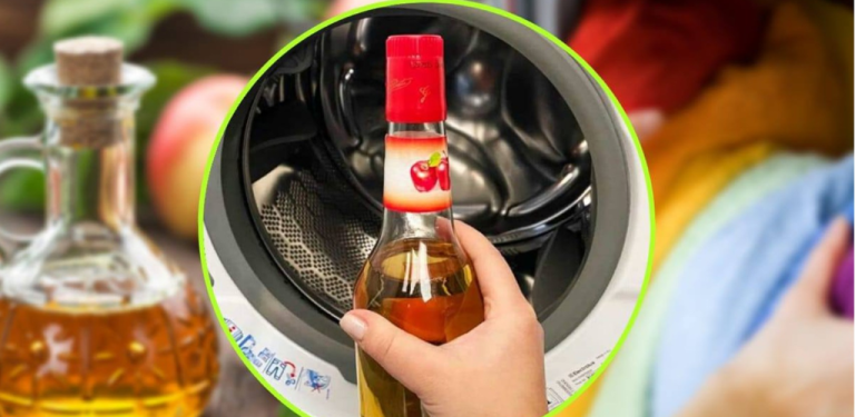 APPLE CIDER VINEGAR IN THE WASHING MACHINE, SOMETHING EXTRAORDINARY HAPPENS: CRAZY LAUNDRY