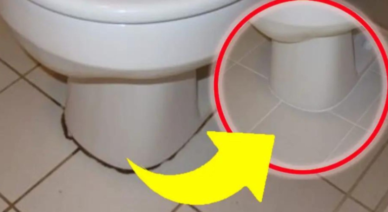 Black circle around toilet, you won’t get rid of it unless you do this | I have never had a bathroom