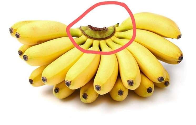 Don’t Make the Mistake of Throwing away This Part of the Banana