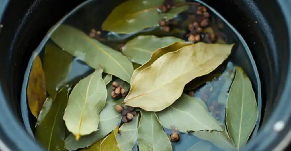 The Surprising Benefits of Boiled Bay Leaves and Cloves: A Natural Elixir for Wellness