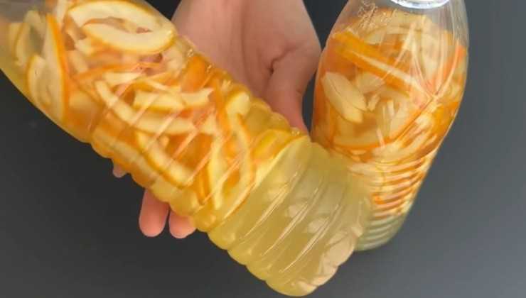 Orange peels, immerse them in 1 bottle of water: a lot of money saved