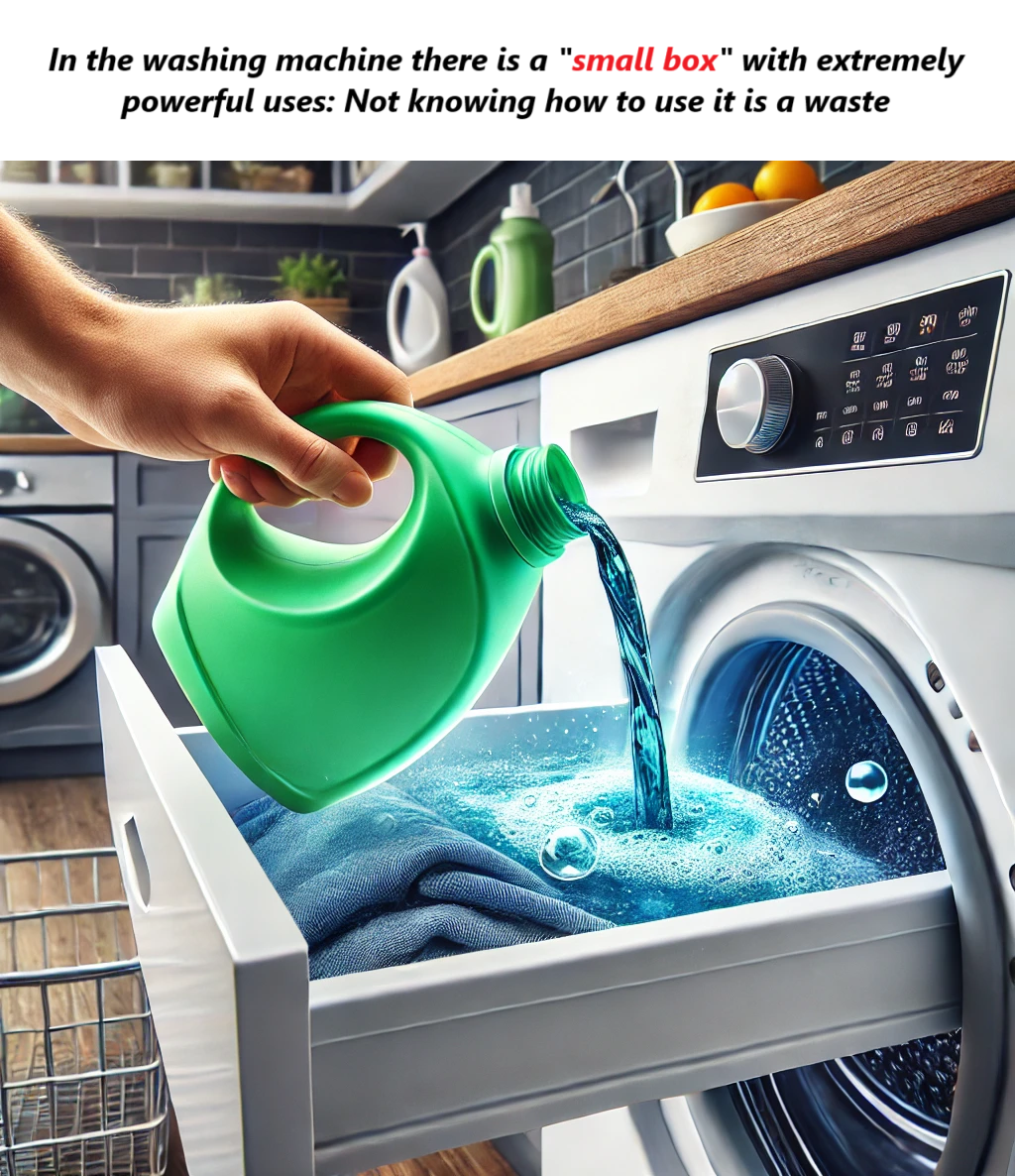 In the washing machine there is a “small box” with extremely powerful uses: Not knowing how to use it is a waste