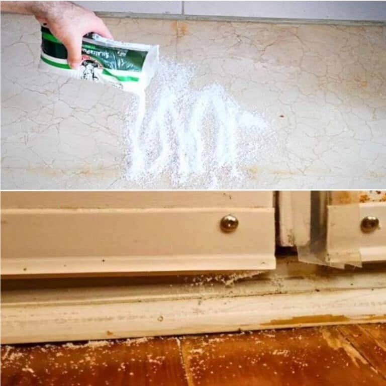 Why should you put salt on your doorstep? We discover the amazing truth!