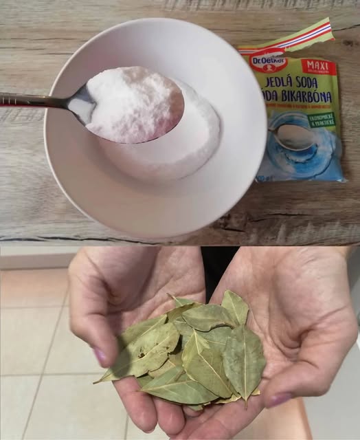 Bay Leaves and Salt: A Timeless Secret for Your Home