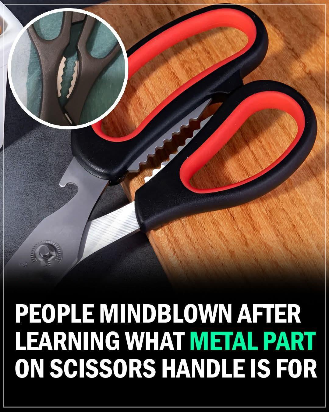 The Surprising Purpose of the Metal Part Between Scissors’ Handles