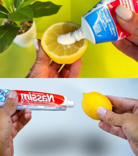 Putting Toothpaste on Lemon Will Save You a Lot of Money | Grandma’s Trick Still Works