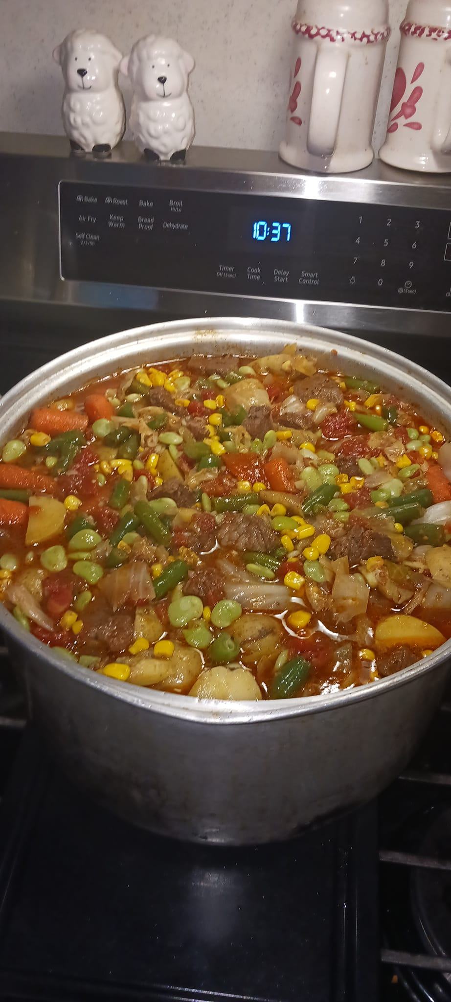 Vegetable Beef Soup