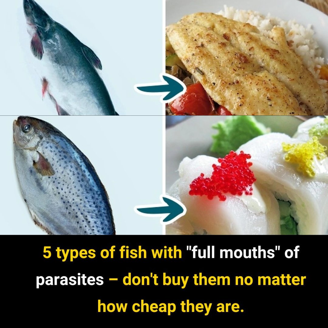 5 Types of Fish High in Mercury