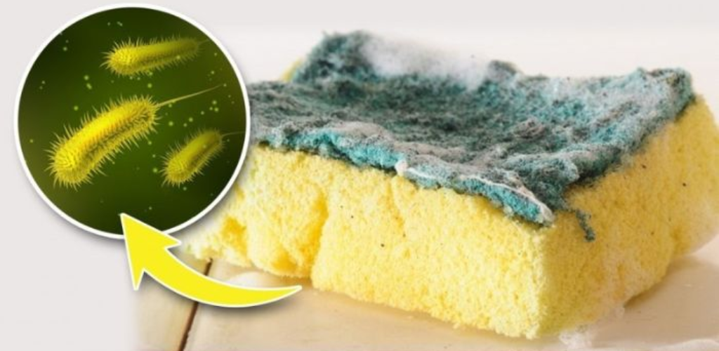 Dirty sponge, don’t throw it away: if you do, it will be as good as new