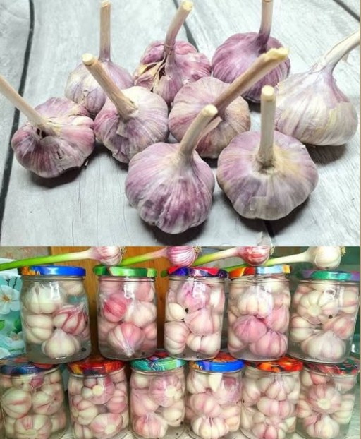 Keep Garlic Fresh and Intact for a Year: A Chef’s Secret