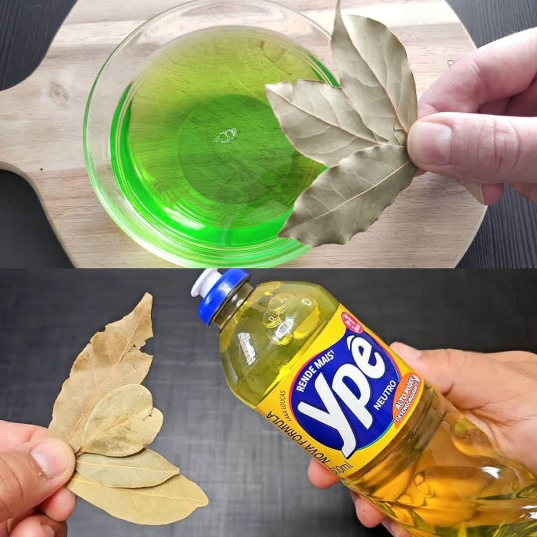 Mix Bay Leaf and Detergent for a Shockingly Effective Solution!