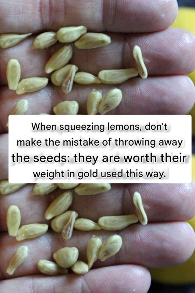 When squeezing lemons, don’t make the mistake of throwing away the seeds: they are worth their weight in gold used this way.