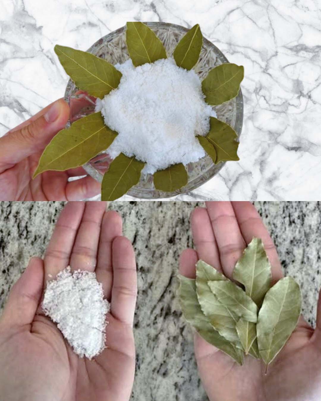 Bay leaf, salt and bicarbonate: amazing benefits at home