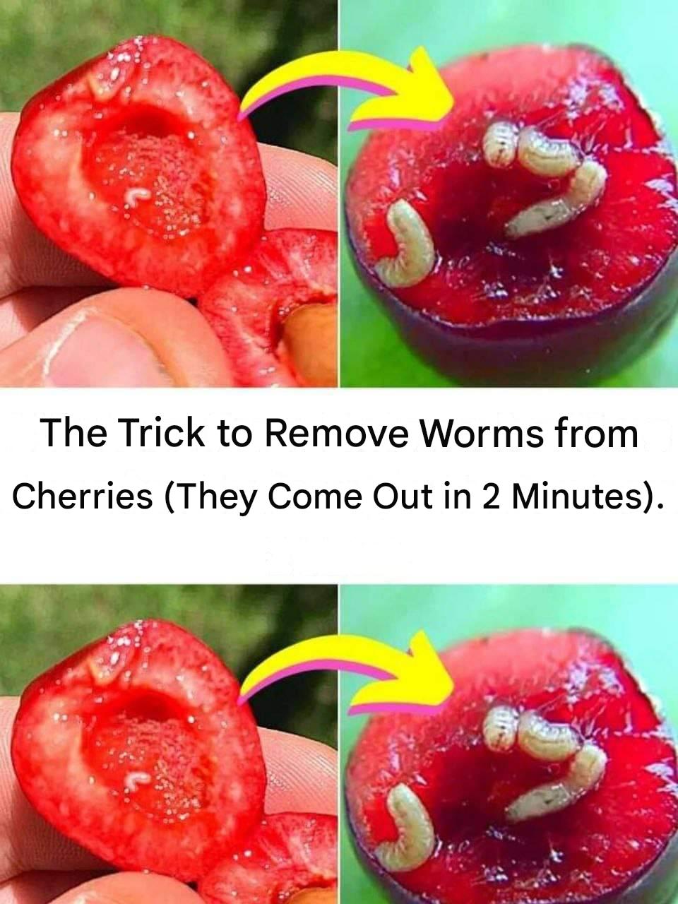 The Trick to Remove Worms from Cherries (They Come Out in 2 Minutes).