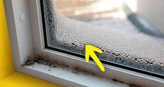 How to eliminate humidity in the house? 7 simple tips