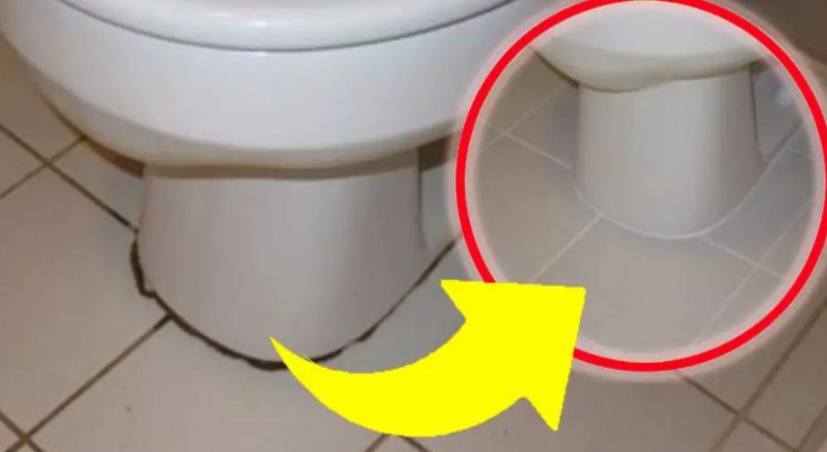 Black Circle Around Toilet? Here’s How to Get Rid of It Once and for All!