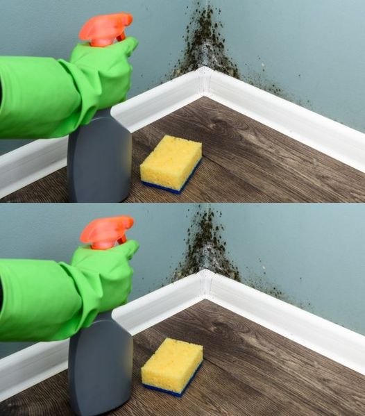 Method to remove moisture and mould from walls in just a few minutes