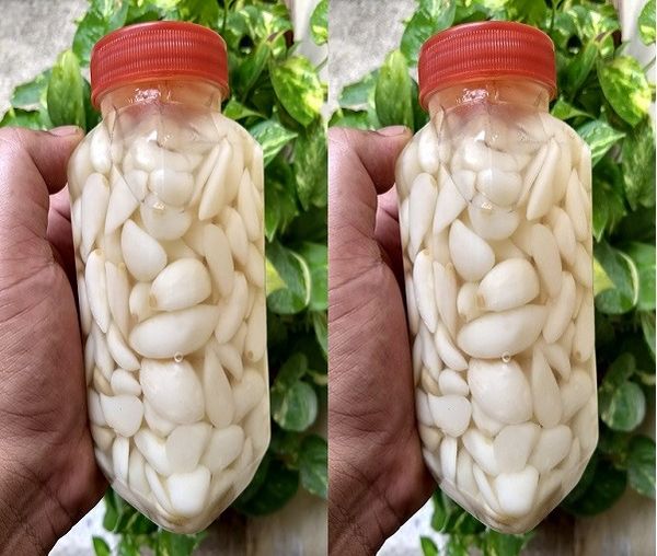 Garlic always fresh and intact for a whole year: only chefs know this trick in the kitchen