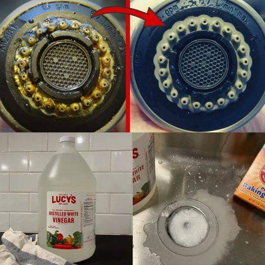 Easiest Way to Clean Your Shower Head  (Unbelievable Result!)