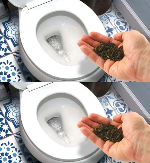 The genius trick to remove the smell of urine from the bathroom and leave a pleasant aroma