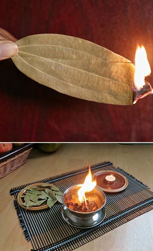 How to Make Bay Leaves into a Pleasant Fragrance for Your Home and How to Use Bay Leaves