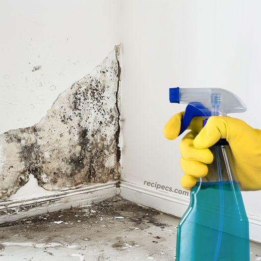 Grandmother’s Old Trick Makes Mold Disappear from Your Home